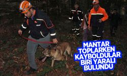 Mantar toplarken kayboldular