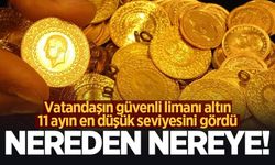 Nereden nereye! Altın 11 ayın en düşük seviyesini gördü