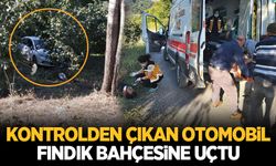 Kontrolden çıkan otomobil fındık bahçesine uçtu