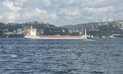 Ukrayna’dan gelen mısır yüklü 'Polarnet' gemisi İstanbul Boğazı’ndan geçti
