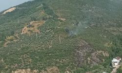 Kocaeli'deki orman yangını kontrol altına alındı