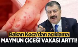 Maymun çiçeği vakası arttı! Bakan Koca'dan açıklama