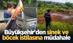 Büyükşehir’den sinek ve böcek istilasına müdahale