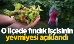 O ilçede fındık işçisinin yevmiyesi açıklandı