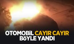 Cayır cayır böyle yandı