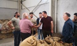 Yavuz: Fındık üreticilerimize hayırlı olsun