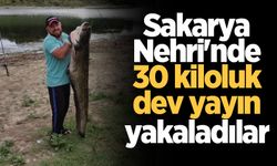 Sakarya Nehri'nde 30 kiloluk dev yayın yakaladılar