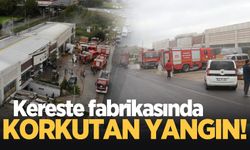 Kereste fabrikasında korkutan yangın!