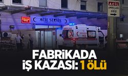 Fabrikadaki iş kazasında 1 kişi öldü