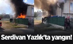 Serdivan Yazlık'ta yangın!