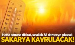 Hafta sonuna dikkat: Sakarya'da sıcaklık 38 dereceye çıkacak