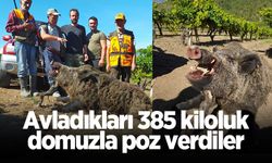 Avladıkları 385 kiloluk domuzla poz verdiler