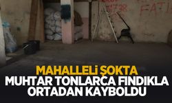 Muhtar tonlarca fındığı aldı, parasını ödemeden kayıplara karıştı