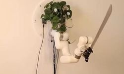 Ev bitkisinden güç alan palalı robot yarattılar