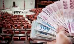 Siyasi partilere bütçeden ayrılan ödenek belli oldu! 