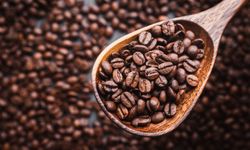 Arabica bitkisi dünya kahve pazarının yüzde 70'ine hakim