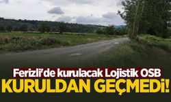 Ferizli'de kurulacak Lojistik OSB kuruldan geçmedi!