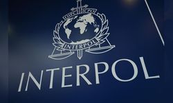 Interpol tarafından mavi bültenle aranan 2 kişi sınır dışı edildi