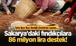 Sakarya'daki fındıkçılara 86 milyon lira destek! İşte ilçe ilçe fındık üreticisi sayısı...