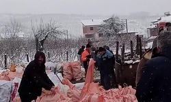 Hacıkışla köyü 2 tır odunu depremzedelere yolladı