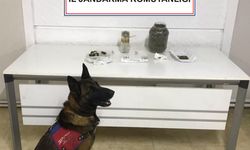 Narkotik köpeği Akyazı'da 1,5 kilo kubar esrar yakaladı