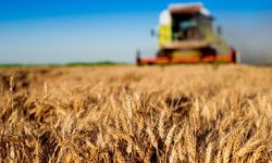 Tarım-GFE yıllık yüzde 95,99 arttı