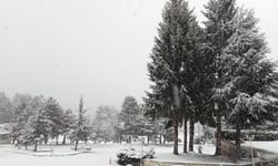 Doğaseverlerin gözdesi Abant'ta mart ayında kar sürprizi