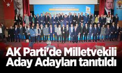 AK Parti'de Milletvekili Aday Adayları tanıtıldı
