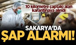 Sakarya'da şap alarmı! 10 kilometre çaptaki alan karantinaya alındı
