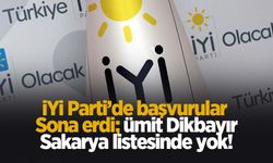 İYİ Parti Sakarya'da 22 isim aday adaylığı başvurusunda bulundu