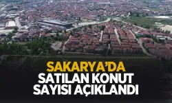 Sakarya'da Eylül ayında satılan konut sayısı açıklandı