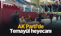 AK Parti'de temayül günü