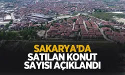 Sakarya'da Ekim ayında satılan konut sayısı açıklandı