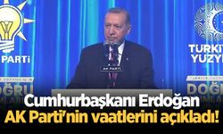 Cumhurbaşkanı Erdoğan AK Parti'nin vaatlerini açıkladı!