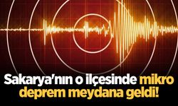 Kandilli ve AFAD açıkladı: Sakarya'nın o ilçesinde mikro deprem!