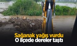Akyazı'da dereler taştı