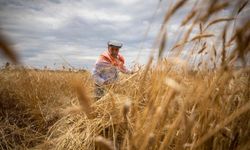 Çiftçilerin destek ödemesi hesaplarına yatıyor