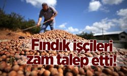 Fındık işçileri zam talep etti!