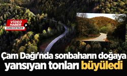 Çam Dağı'nda sonbaharın doğaya yansıyan tonları büyüledi