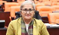 CHP'l Taşkent'ten 25 Kasım açıklaması