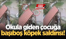 Okula giden çocuğa başıboş köpek saldırısı!