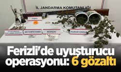 Ferizli'de uyuşturucu operasyonu: 6 gözaltı
