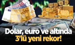 Dolar, euro ve altında 3'lü yeni rekor!