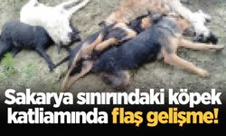 Sakarya sınırındaki köpek katliamında flaş gelişme!