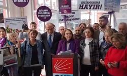 CHP’li kadınlar 'Kadına Şiddete Hayır' dediler