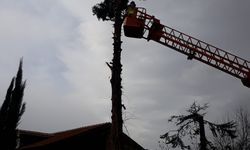 İtfaiye ağaçları kesip evi kurtardı