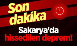 Marmara'da şiddetli deprem! Sakarya'da da hissedildi