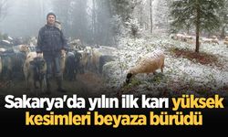 Sakarya'da yılın ilk karı yüksek kesimleri beyaza bürüdü