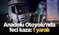 Anadolu Otoyolu'nda feci kaza: 1 yaralı