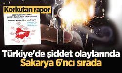 Korkutan rapor: Türkiye'de şiddet olaylarında Sakarya 6'ncı sırada